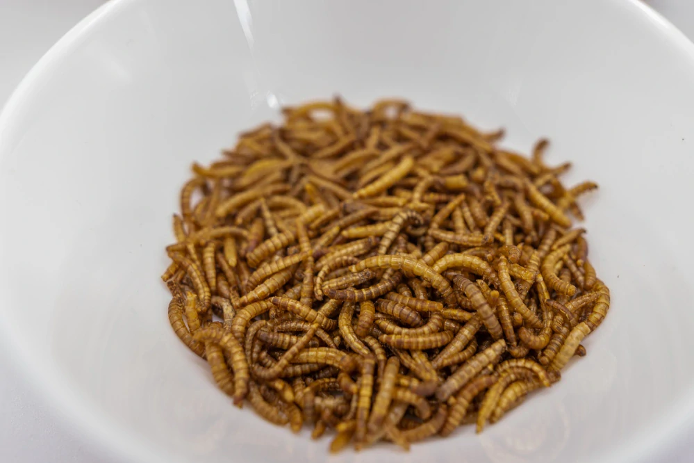 Sušení červíci s chilli 20g